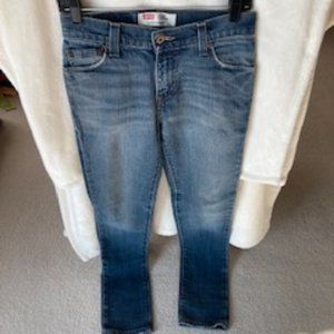 Levi's 510 Super Skinny Men's 29 X 32 Jeans